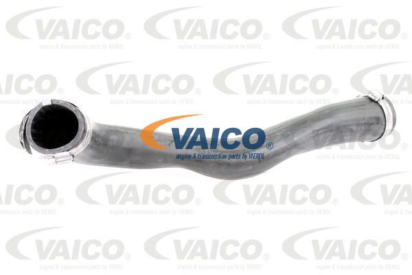 VAICO Трубка нагнетаемого воздуха V10-3817