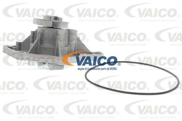 VAICO Водяной насос V10-50061-1