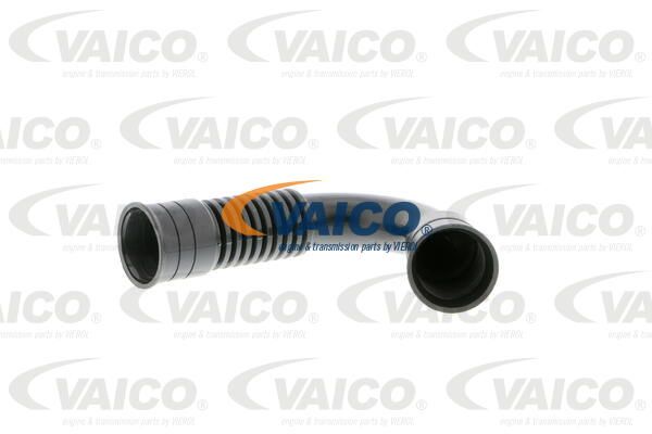VAICO Шланг, воздухоотвод крышки головки цилиндра V10-9737
