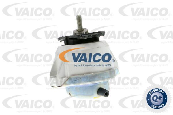 VAICO variklio montavimas V20-0497