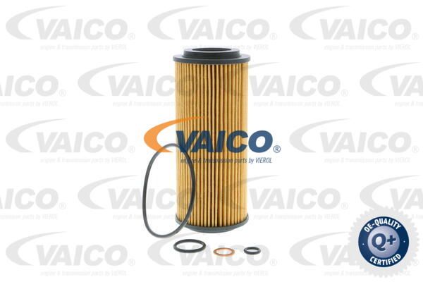 VAICO alyvos filtras V20-0646