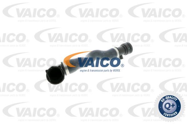 VAICO radiatoriaus žarna V20-0863