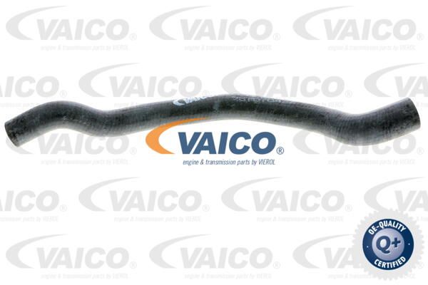 VAICO Шланг, теплообменник - отопление V20-1648