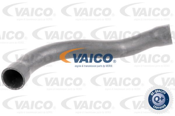 VAICO Шланг радиатора V20-1750