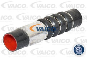VAICO Трубка нагнетаемого воздуха V25-0954