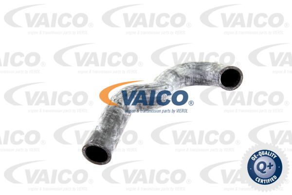 VAICO Шланг радиатора V30-0227