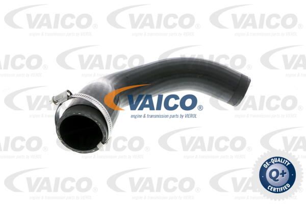 VAICO Трубка нагнетаемого воздуха V30-1873