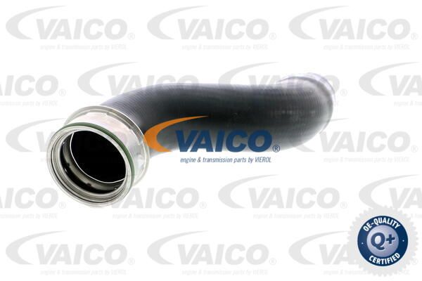VAICO Трубка нагнетаемого воздуха V30-2244