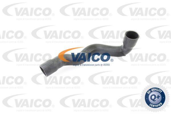 VAICO Трубка нагнетаемого воздуха V30-2249