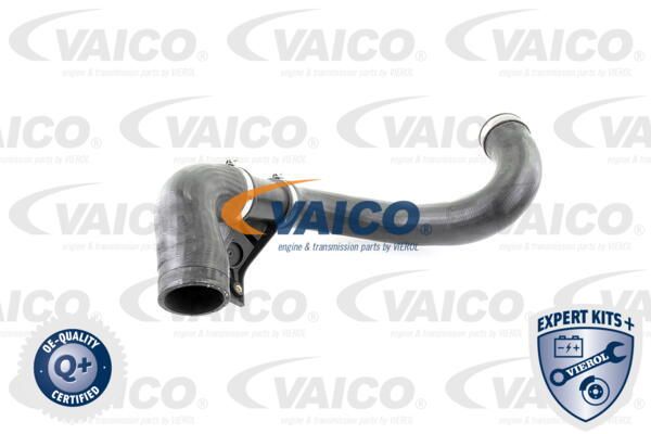 VAICO Трубка нагнетаемого воздуха V30-2420