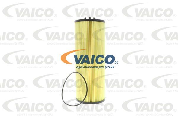 VAICO alyvos filtras V31-1013