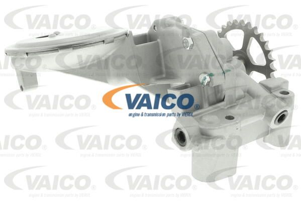 VAICO alyvos siurblys V42-0521