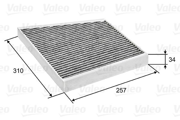 VALEO filtras, salono oras 698741