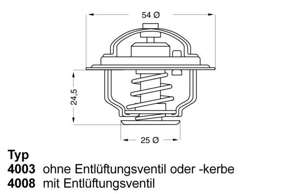 WAHLER termostatas, aušinimo skystis 4008.74D