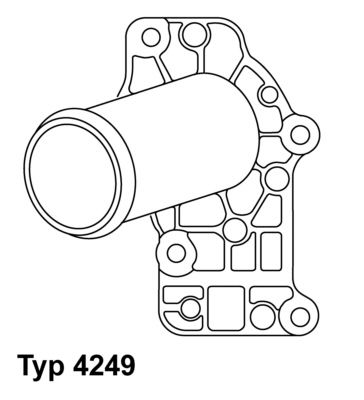 WAHLER termostatas, aušinimo skystis 4249.83D