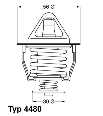 WAHLER termostatas, aušinimo skystis 4480.82D