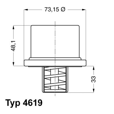 WAHLER Термостат, охлаждающая жидкость 4619.80