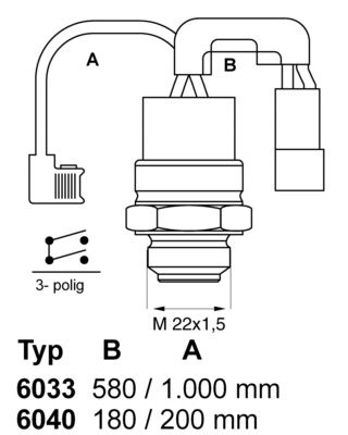 WAHLER temperatūros jungiklis, radiatoriaus ventiliatoriu 6033.88