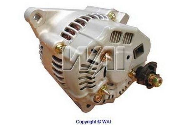 WAI kintamosios srovės generatorius 13519R