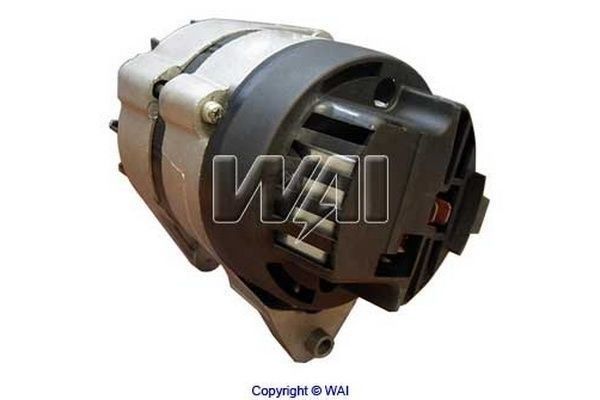 WAI kintamosios srovės generatorius 14014R