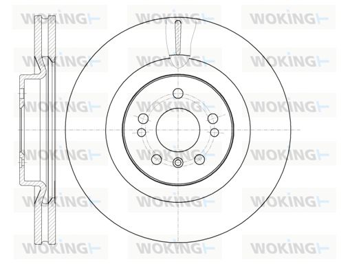 WOKING Тормозной диск D61030.10