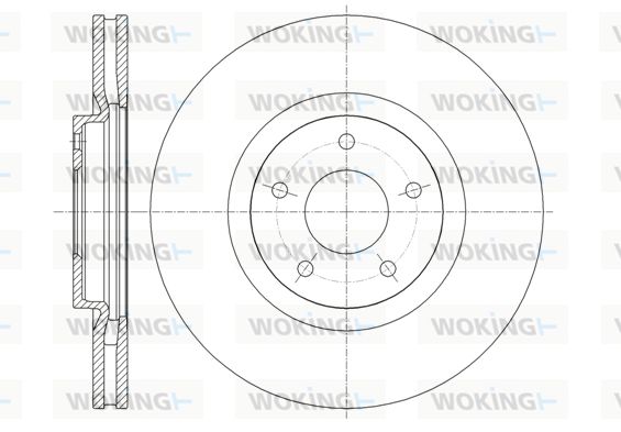 WOKING stabdžių diskas D61349.10