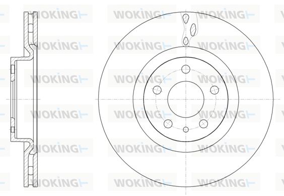 WOKING stabdžių diskas D61501.10