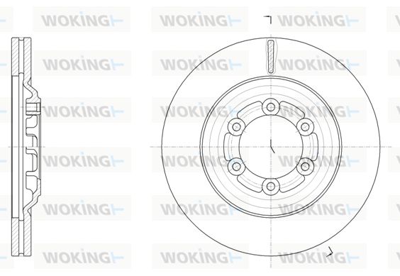 WOKING stabdžių diskas D61510.10