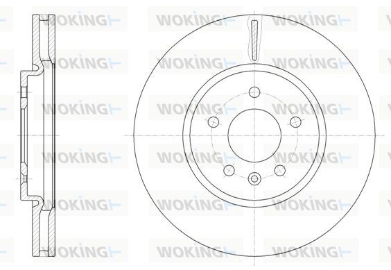 WOKING stabdžių diskas D61541.10